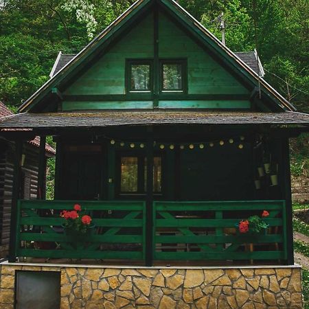 Vikendica,, Tadic,, Ovčar Banja Villa Bagian luar foto