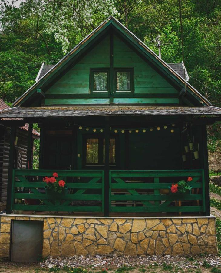 Vikendica,, Tadic,, Ovčar Banja Villa Bagian luar foto