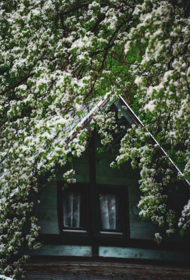 Vikendica,, Tadic,, Ovčar Banja Villa Bagian luar foto