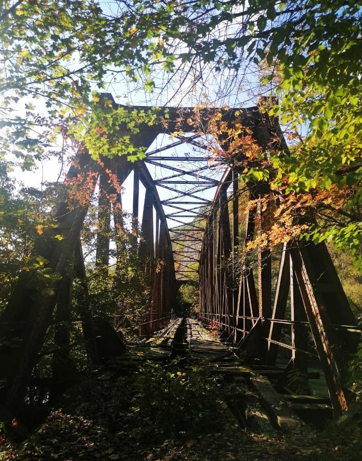 Vikendica,, Tadic,, Ovčar Banja Villa Bagian luar foto